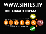 SINTES творческо-экспериментальная студия Логотип SINTES творческо-экспериментальная студия